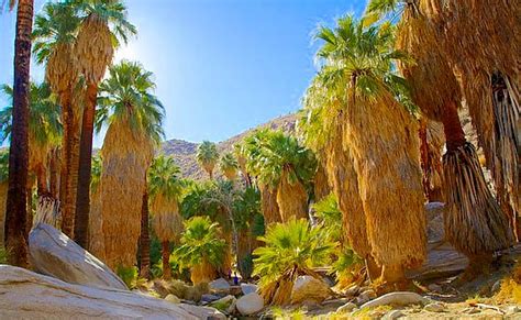 agua caliente reservation.
